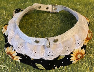 Sunflower Dog Collar