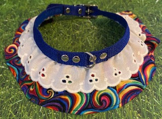 Groovy Swirl Dog Collar