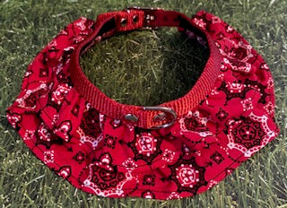 Red Bandanna Dog Collar