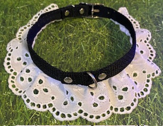 Black Ruffle Dog Collar