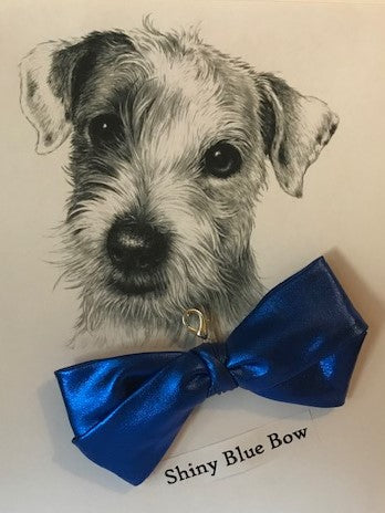 Shiny Royal Blue Bow