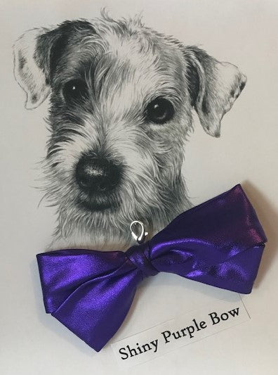 Shiny Purple Bow