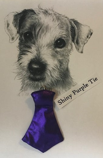 Shiny Purple Tie