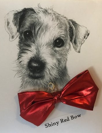 Shiny Red Bow